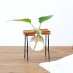 Hot Sale!DEESEE(TM)Creative Hydroponic Plant Transparent Vase Wooden Frame Coffee Shop Room Decor