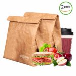 Tyvek Lunch Bag pack of 2, Eco Waterproof Reusable Lunch Box,Tyvek Leakproof Insulated Brown Paper Snack bags for work/school/picnic?6L?