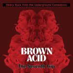 Brown Acid – The Seventh Trip / Various