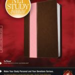 NLT Study Bible, TuTone (Red Letter, LeatherLike, Dark Brown/Pink)