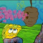 Nature Pants/Opposite Day