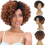 WaiiMak Women Fashion Lady Gradient Short Curls Hair Cosplay Party Wig (Brown)