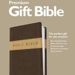Premium Gift Bible NLT, TuTone (Red Letter, LeatherLike, Dark Brown/Tan)