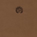 Reformation Study Bible (2015) ESV, Leather-Like Light Brown
