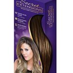 Secret Extensions – Hair Extensions by Daisy Fuentes, As Seen on TV, Light Brown by Secret Extensions