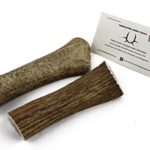 JimHodgesDogTraining Brand – Grade A Premium Quality Elk Antler Dog Chew – Whole and Split Antler Bone Treat – Made in USA – Natural Shed – No Preservatives (Split, Large 2-Pack)