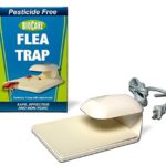 BioCare Indoor Flea Trap with Lightbulb and Sticky Capture Pad, Nontoxic and Pesticide-Free, Made in USA