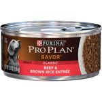 Purina Pro Plan Pate Wet Dog Food, SAVOR Classic Beef & Brown Rice Entree – (24) 5.5 oz. Cans