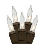 Gerson 20 Ct Clear String Light with Brown Wire, UL Approved Indoor Outdoor Use, 5 Foot Lighted Length, 7.5 Foot Total Length