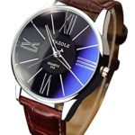 RoseSummer Famous Luxury Men’s Wristwatch Quartz Watch Business Watch (Black Dial+Brown Strap)