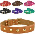 BRONZEDOG Leather Studded Dog Collar, Brass Plated Hardware Pet Collars for Cats Puppy Small Medium Large Dogs Red Pink Purple Black Brown Turquoise (Neck Size 9″-12″, Light Brown)