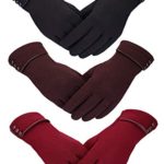 Patelai 3 Pairs Women Winter Gloves Warm Touchscreen Gloves Windproof Plush Gloves for Women Girls Winter Using (Black, Wine Red, Brown)