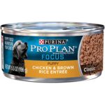 Purina Pro Plan Pate Wet Puppy Food, FOCUS Classic Chicken & Brown Rice Entree – (24) 5.5 oz. Cans