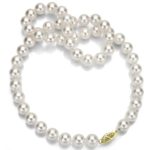 18k Gold Handpicked AAA White Japanese Akoya Cultured Pearl Necklace, 18″