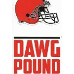 NFL Cleveland Browns Double Up Die Cut 2-Piece Sticker Sheet