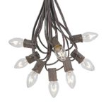 Novelty Lights C7 Clear Christmas Lights Set – Indoor/Outdoor Christmas Light String – Christmas Tree Lights – Hanging Christmas Lights – Outdoor Patio String Lights – Brown Wire – 25 Foot