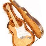 Douglas EGC-450 ST Brown/Gold Guitar Case for Fender Stratocaster Telecaster Strat Tele Rickenbacker 610, 620, 660 Epiphone Coronet and Wilshire