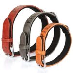 FitinPet Premium Genuine Leather Collar/Military Grade Trainning Hunting Soft Touch Padded and Durable for Big Large Medium Small Dogs (Small, Light Brown)