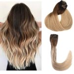 Thick Clip In Human Hair Extensions Double Weft Ombre Brazilian Hair Full Ends 180g Dark Brown to Chestnut Brown and Ash Brown Remy Straight Clip On Hair Extensions 22 Inch