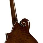 Kentucky, 8-String Mandolin, Transparent Brown (KM-756)