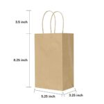 Oikss 100 Pack 5.25×3.25×8.25 Inch Small Plain Natural Paper Gift Bags with Handles Bulk, Kraft Bags for Birthday Party Favors Grocery Retail Shopping Business Goody Craft Bags Cub (Brown 100 Count)
