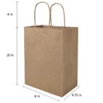 bagmad 100 Pack 8×4.75×10 inch Plain Medium Paper Bags with Handles Bulk, Brown Kraft Bags, Craft Gift Bags, Grocery Shopping Retail Bags, Birthday Party Favors Wedding Bags Sacks