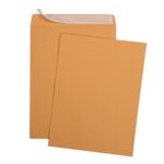 9 X 12 Self-Seal Brown Kraft Catalog Mailing Envelopes – 28lb – 100 Count, 9×12 Inch (38300)