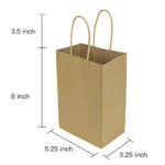 bagmad 100 Pack 5.25×3.25×8 inch Brown Small Paper Bags with Handles Bulk, Gift Paper Bags, Kraft Birthday Party Favors Grocery Retail Shopping Craft Bags Takeouts Business (Plain Natural 100pcs)