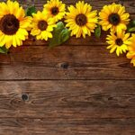 LTLYH 10x8FT Sunflower Brown Wood Backdrops for Photography Rustic Child Baby Shower Birthday Party Background Banner for Picture Photo Studio Photo Booth Decoration 051…