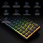 Tezarre TK63 Pro Wireless Keyboard Bluetooth/2.4G/USB Wired 60% Mechanical Gaming Keyboard RGB Backlit PBT Pudding Keycaps Hot-Swappable (Gateron Brown Switch, Black)