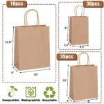 Moretoes 75pcs Brown Paper Bags with Handles Assorted Sizes Gift Bags Bulk, Kraft Paper Bags for Small Business Bags, Shopping Bags, Retail Bags, Party Bags, Merchandise Bags, Favor Bags