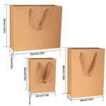 HexinYigjly 12 Pcs Kraft Paper Bags with Handles, Brown Paper Gift Bags Bulk, Small, Medium & Large Retail Bags for Small Business, Shopping Bags, Birthday Party Favor Bags, Merchandise Bags