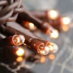 Light Set String Strand – Clear Teeny Rice Bulbs – 35 CT Count – Brown Cord for Holiday, Kitchen, Farmhouse, Home Decor