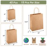 TOMNK 45pcs Brown Paper Bags with Handles Assorted Sizes Gift Bags Bulk, Kraft Paper Bags for Small Business, Shopping Bags, Bags, Party Bags, Merchandise Bags, Favor Bags