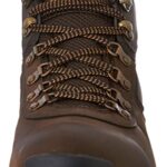 Timberland Men’s Anti-Fatigue Hiking Waterproof Leather Mt. Maddsen Chukka Boot, Dark Brown, 10