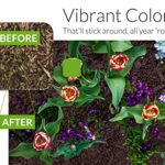 Peach Country Chocolate Brown Mulch Dye Color Concentrate – 2,800 Sq. Ft. – Brighten Up Your Old Mulch Beds Easily with Our Premium Mulch Dye (1 Quart, Brown)