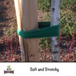 Biostretch Extra Wide Soft Tree Ties and Plant Tape for Large Garden Plants and Trees – Environmentally Friendly Stretchy and Wide Green Plant Tape Tree Ties (Brown Bio Extra Wide 26 ft / 8M)
