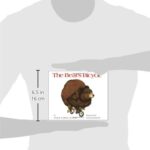 The Bear’s Bicycle