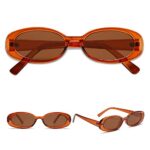 VANLINKER Polarized Small Trendy Skinny Retro Oval Sunglasses Women Tinted Glasses Brown Frame