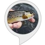 Fly Fishing Trout Trivia