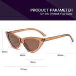 YOSHYA Retro Vintage Narrow Cat Eye Sunglasses for Women Clout Goggles Plastic Frame (Clear Brown/Brown)