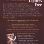 He Came to Set the Captives Free: A Guide to Recognizing and Fighting the Attacks of Satan, Witches, and the Occult
