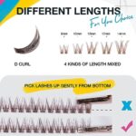 SWINGINGHAIR Brown Lash Clusters 60 Pcs Lashes Cluster Eyelash Extensions Eyelash Clusters Natural Look Wispy Lashes D Curl 9-14mm Cluster Lashes Individual Lashes Thin Band & Soft (Lashes-B)
