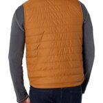 Carhartt mens Rain Defender Relaxed Fit Lightweight Insulated Vest, Carhartt Brown, Large US