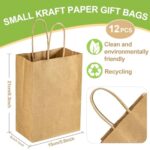 MAQIHAN Small Kraft Bags with Handles 12 pcs Kraft Gift Paper Bags Brown Kraft Bag Small Gift Bag Craft Bags with Candy Birthday Party Favor Christmas Valentines Shopping Small Business Gift Bags