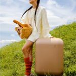 artrips Checked Luggage 24 inch,Medium Suitcase with 8 Spinner Wheels,PC Lightweight Hardside Luggage with Cover Protector,Stripe Pattern Design,TSA Lock,Brown,Checked-Medium 24-Inch,55L