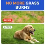 BARK&SPARK Green Grass Chews – Pee Grass Spot Saver Caused by Dog Urine – Urine Neutralizer for Lawn, Gut Health Probiotics & Digestive Enzymes,Lawn Burn from Dog Urine, Grass Burn Spot Chews, Rocks