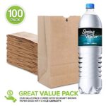Stock Your Home 4 Lb Kraft Brown Paper Lunch Bags (100 Count) – Bulk Disposable Lunch Sacks, Small Size Blank Bag for Kids, Good for a Snack, Sandwich, Grocery Food, and Arts & Crafts Projects