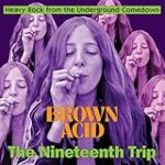 Brown Acid – The Nineteenth Trip (Various Artists)
