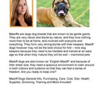 Mastiff as Pets: A Complete Mastiff Owner’s Guide
